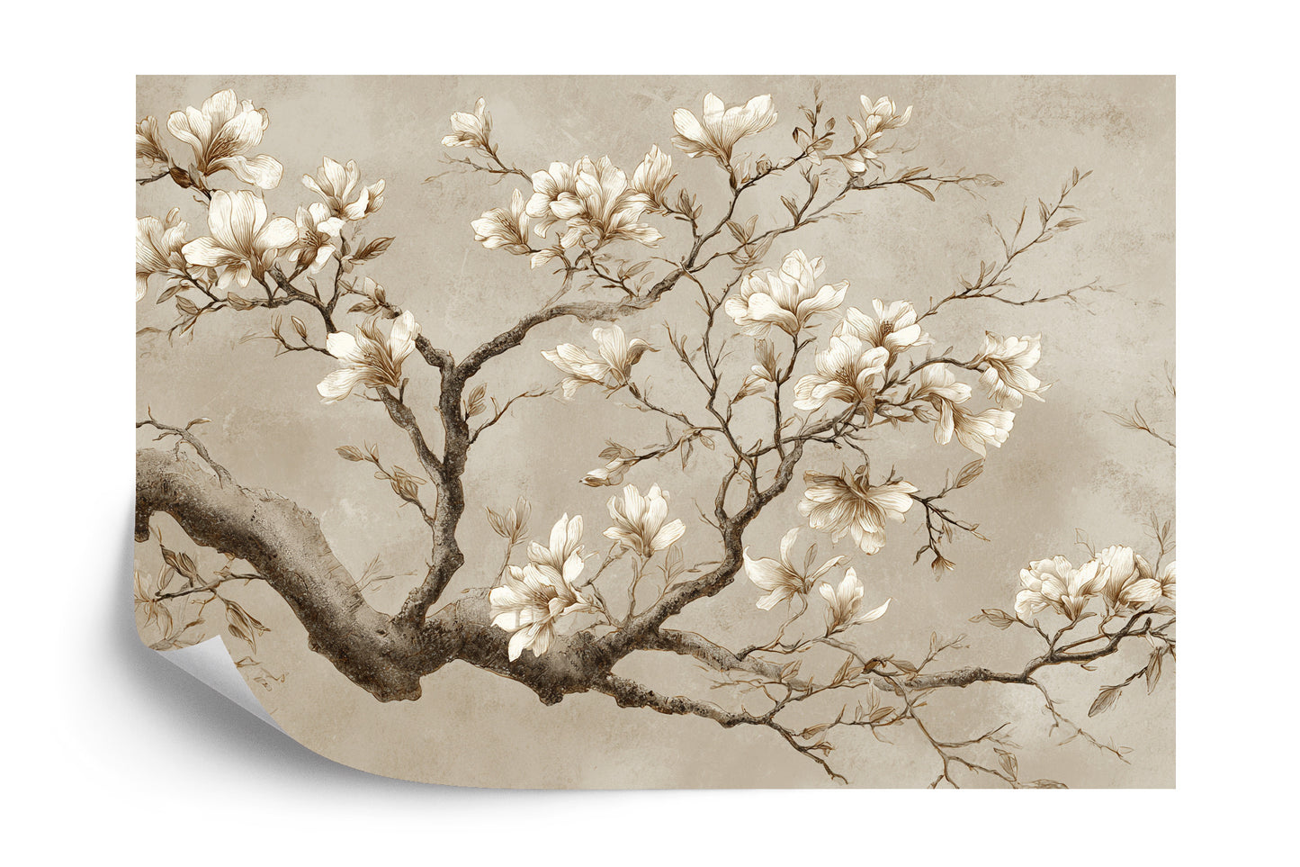 Fototapeta Florentis