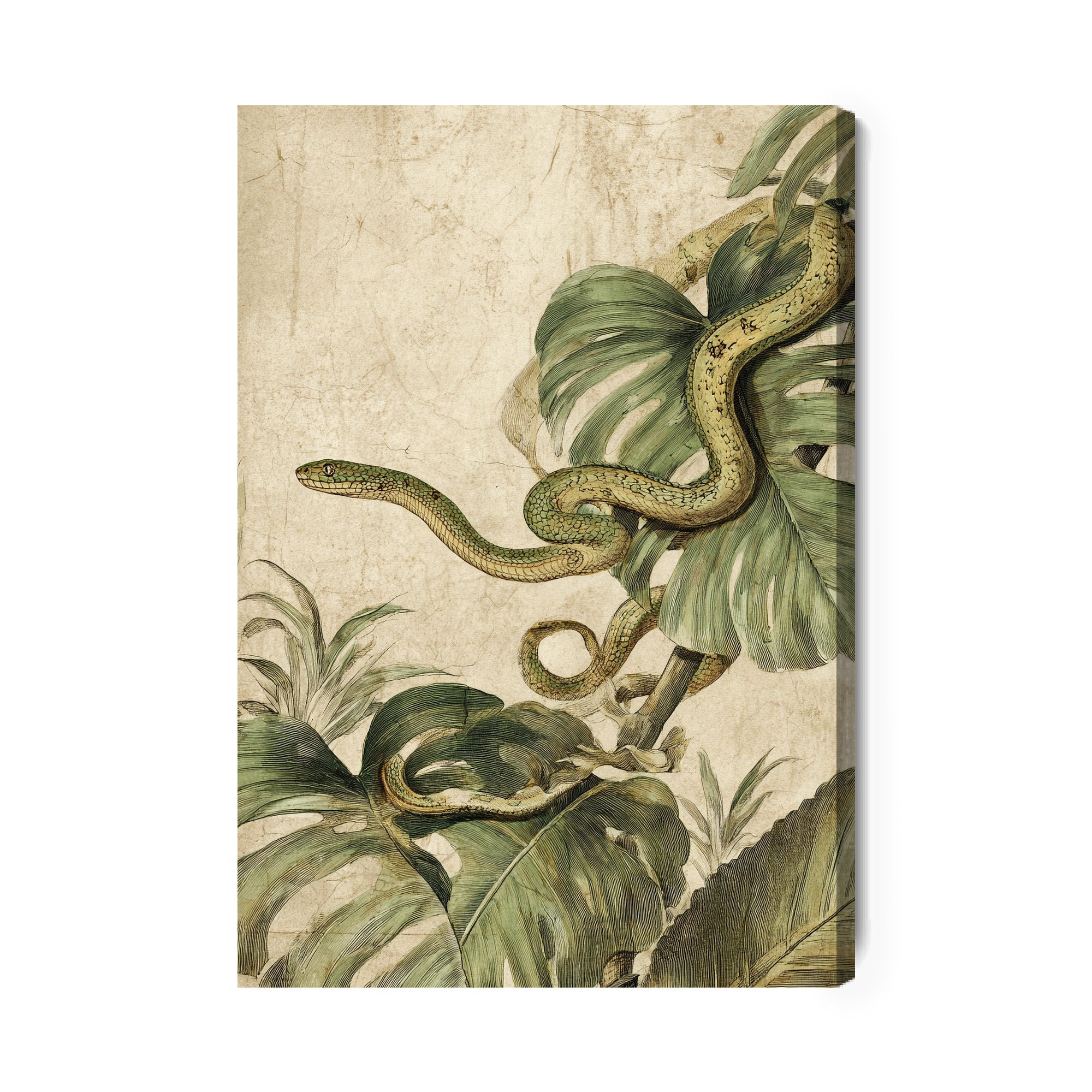 Obraz na płótnie Snerpes