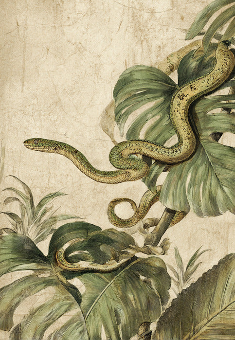 Obraz na płótnie Snerpes