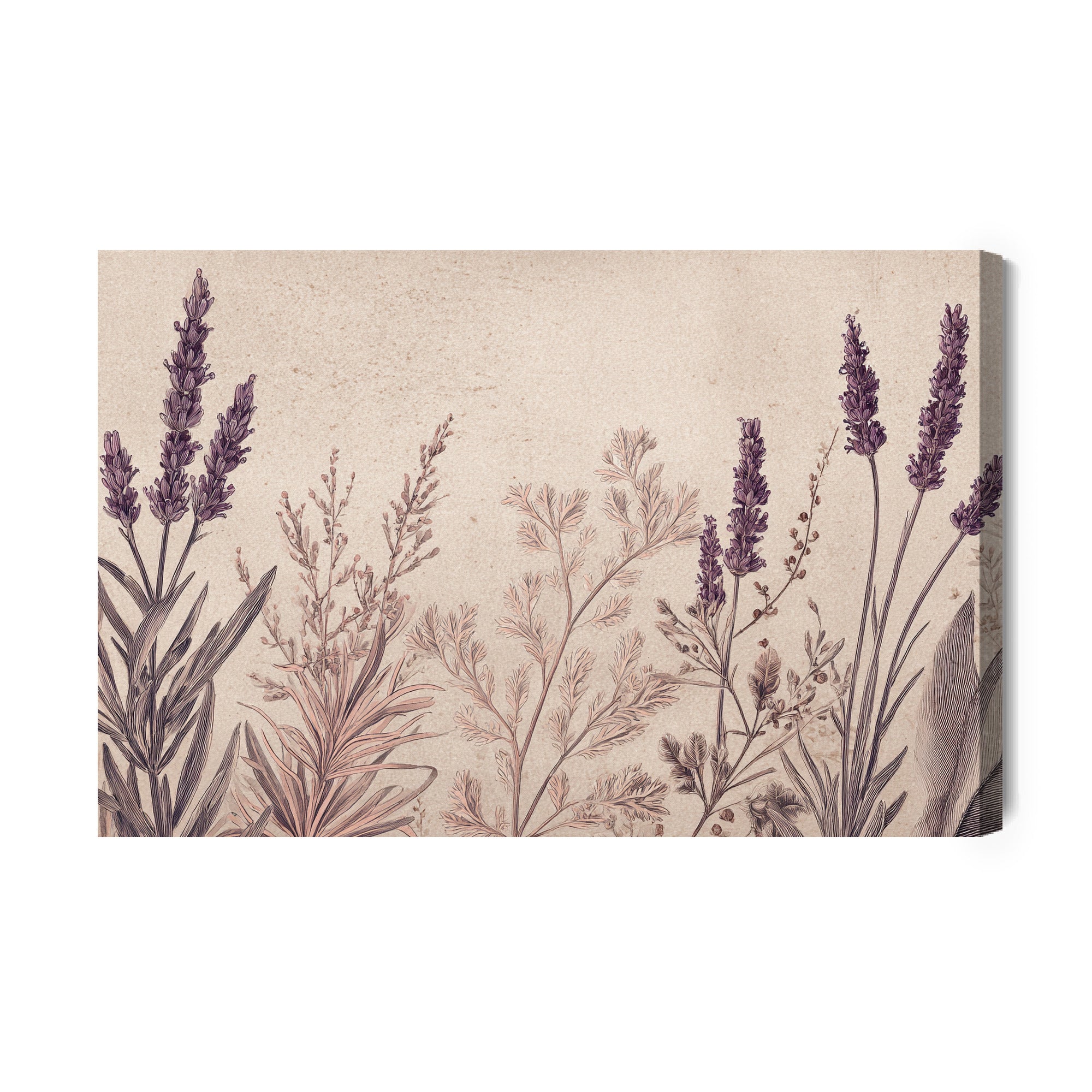 Obraz na płótnie Lavena