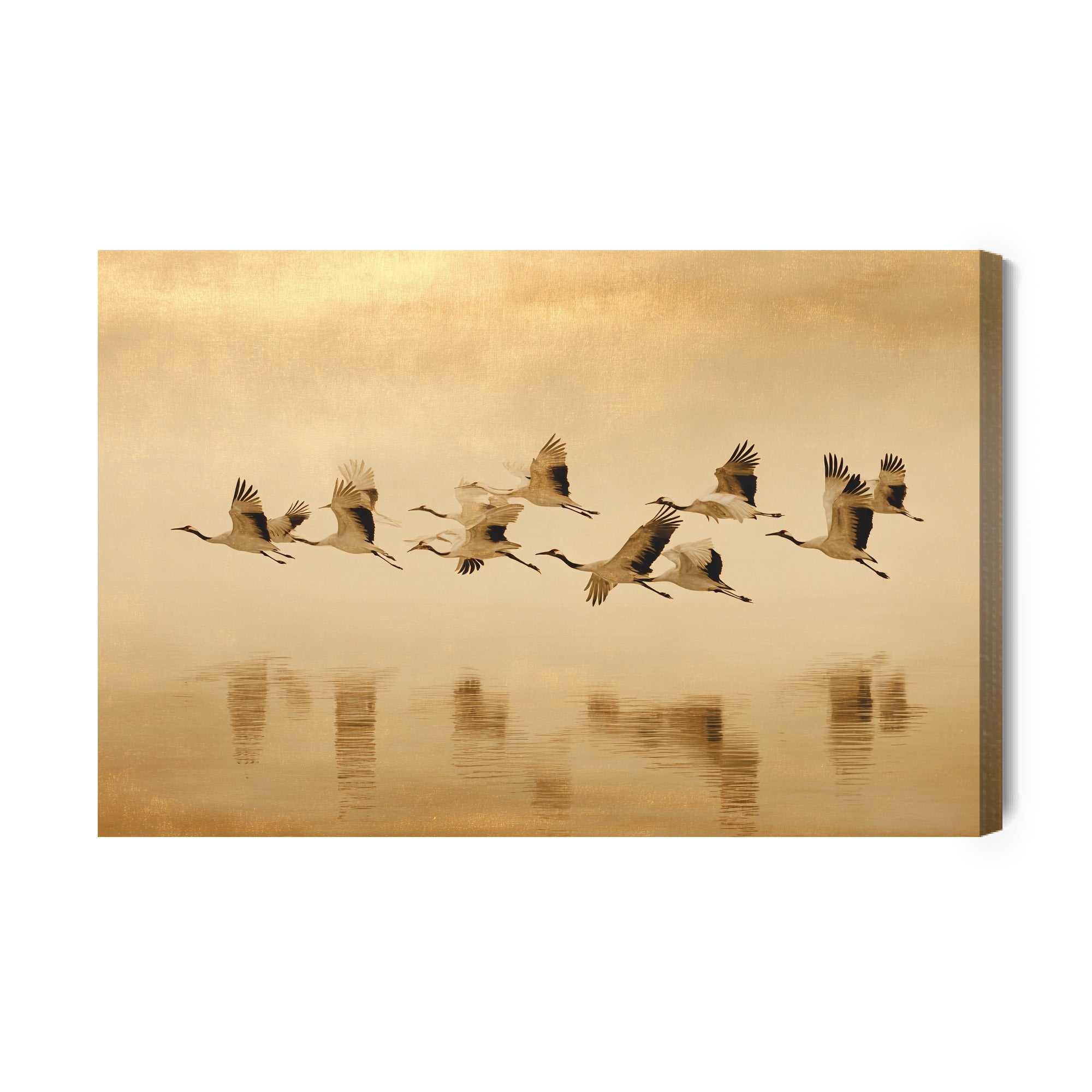 Obraz na płótnie Aeris