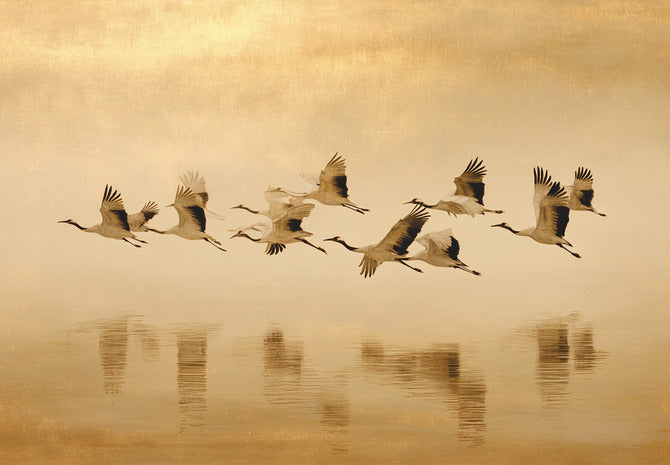 Obraz na płótnie Aeris