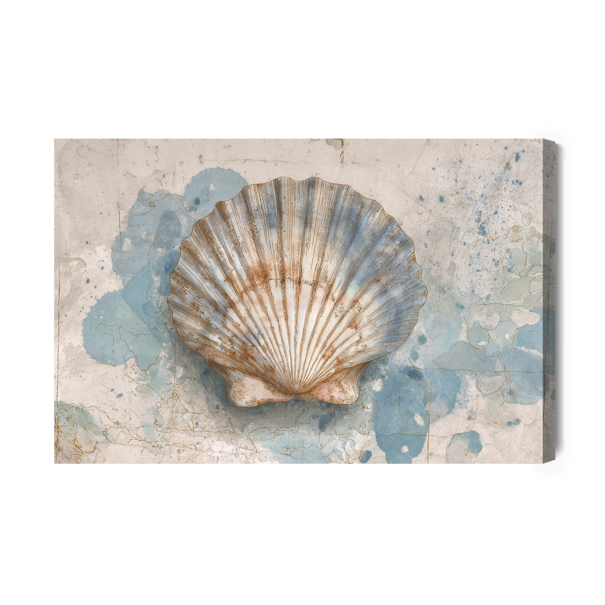 Obraz na płótnie Concha