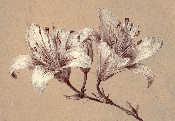 Obraz na płótnie Florentia