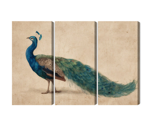 Obraz Wieloczęściowy Plume