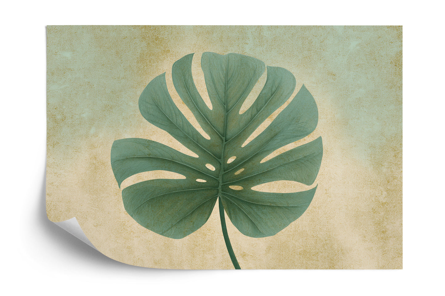Plakat Monsera